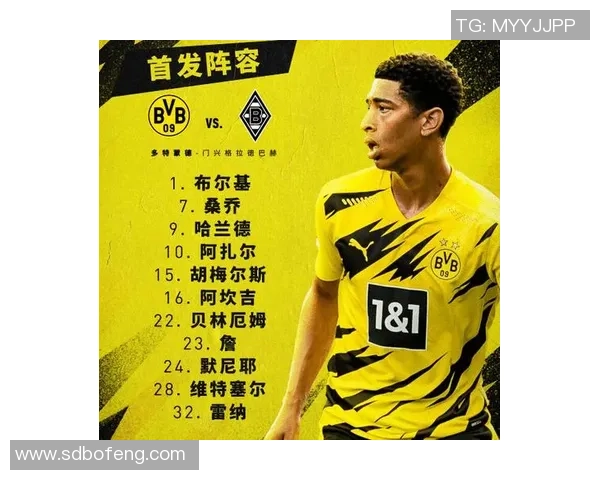 球星足球生涯数据全面解析与表现分析：从进球到助攻的详细统计